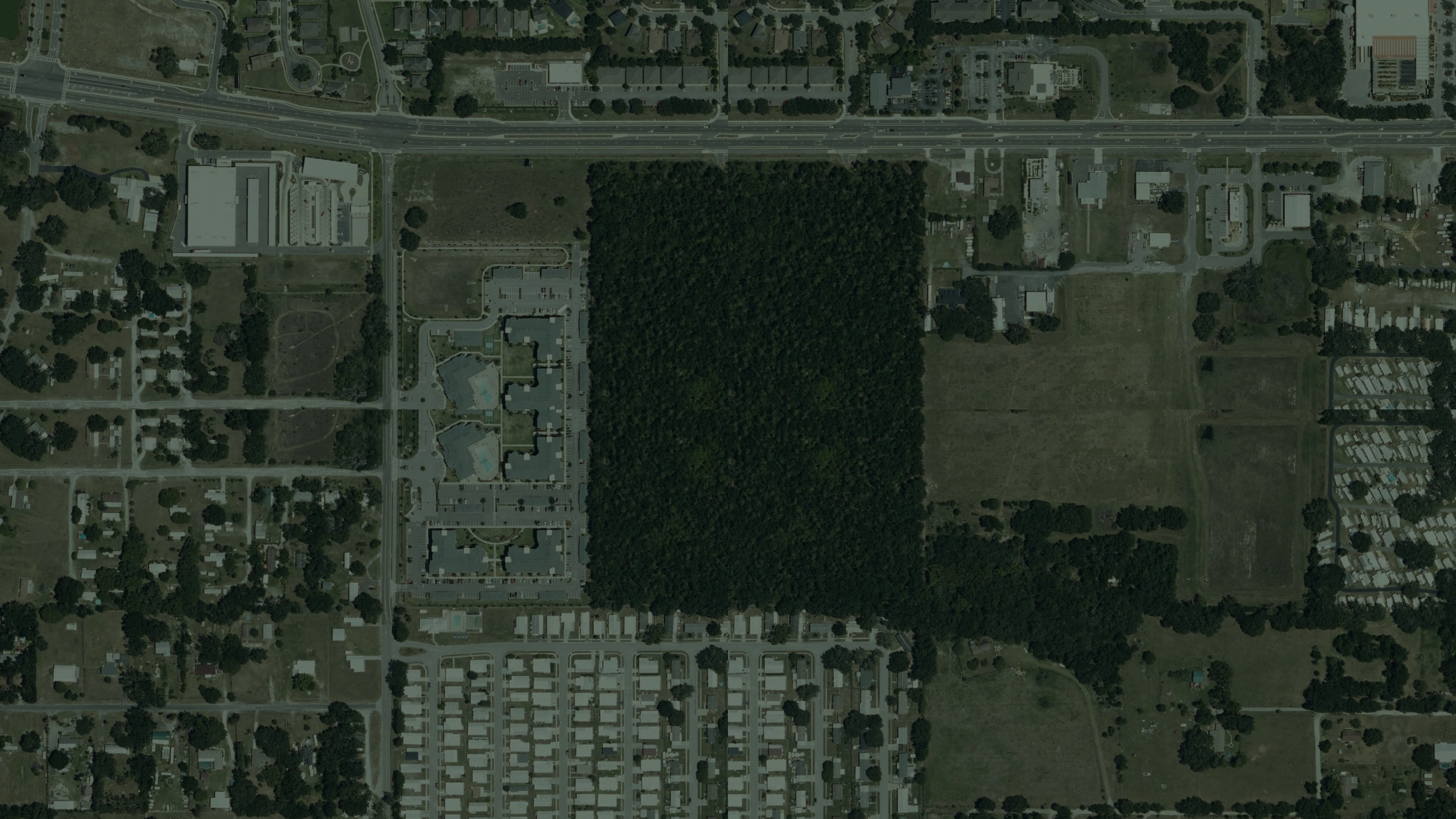 Real satellite image of the Mowrey Road area, Pasco County, Florida: a large wooded parcel with an adjacent field, surrounded by the Wesley Chapel urban grid